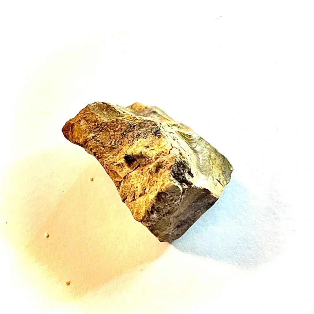 New Petrified Wood Agate Olive Opal Free Form Specimen Chunk 5 Piece 44.9g